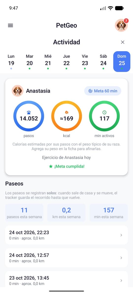 Anillos de actividad con pasos, calorías y minutos activos