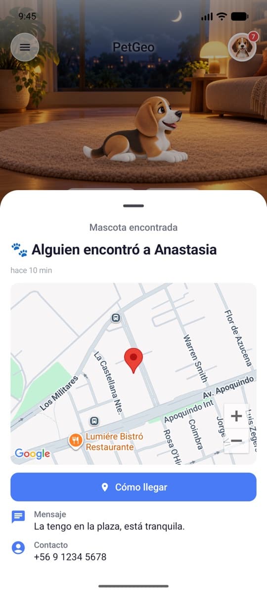 Aviso de mascota encontrada
