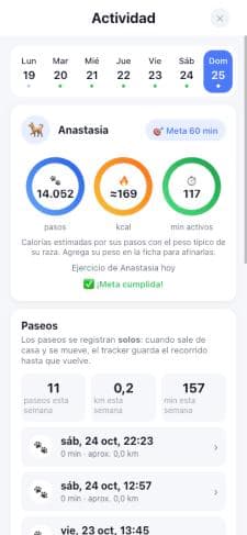Resumen de actividad y paseos